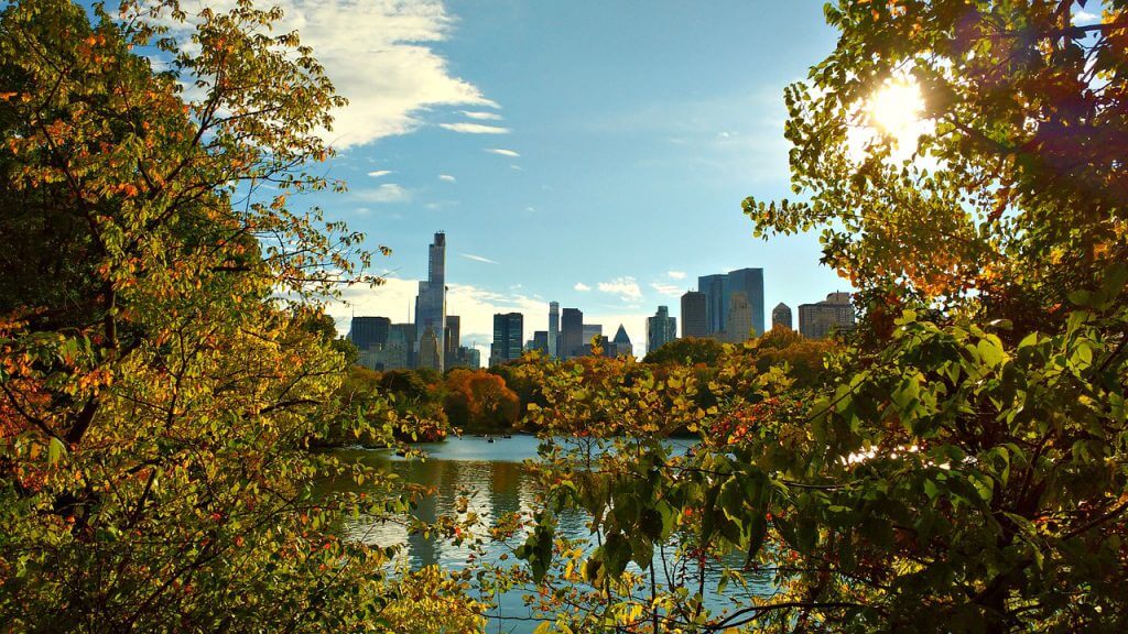 central park new york