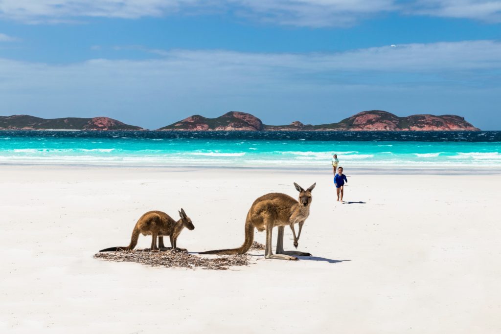 tasmania