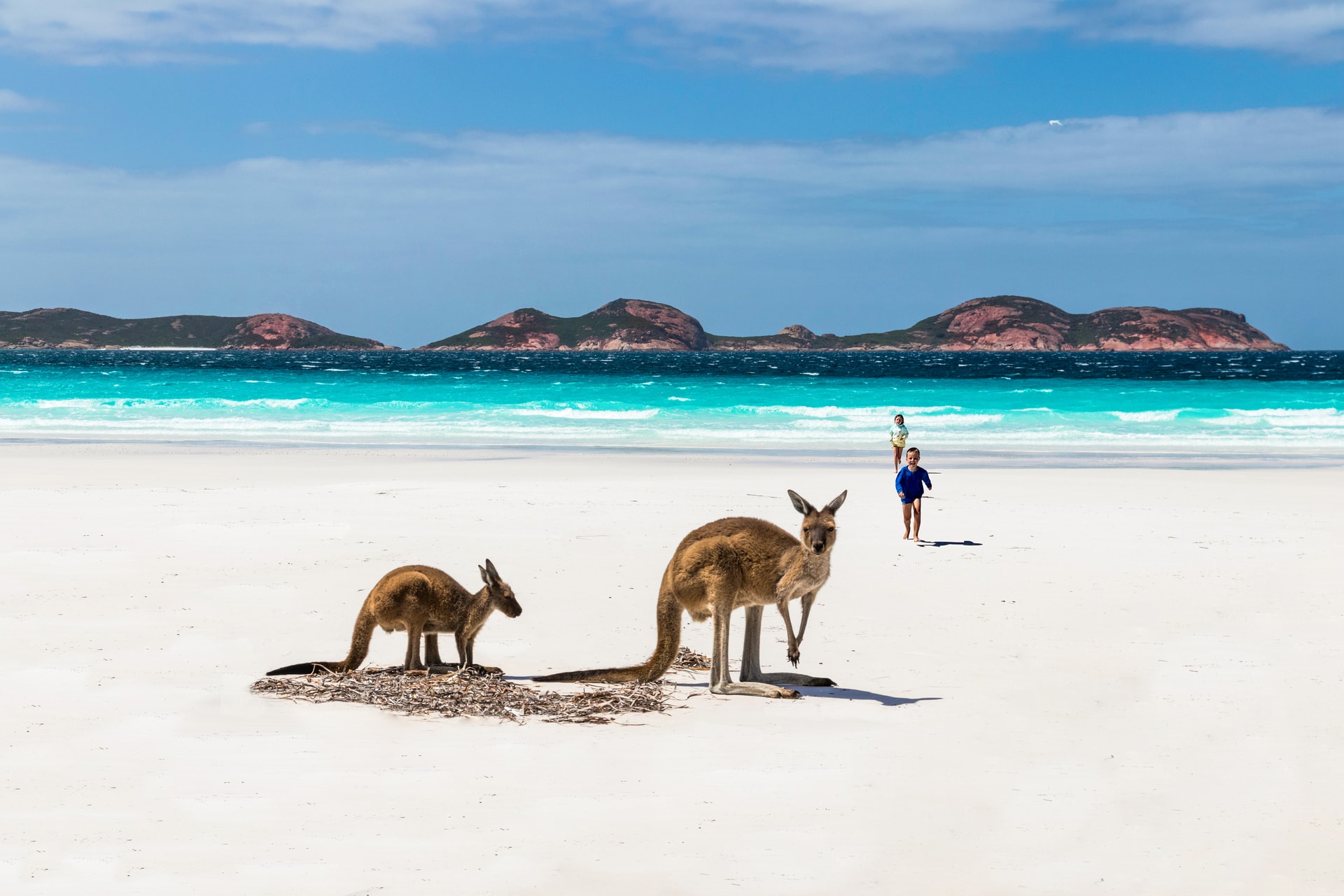 tasmania
